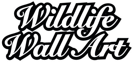 Wildlife Wall Art | Safari & Wildlife Wanddecoratie Wildlife-2-regels-geen-letter-cont-1 Wildlife Wall Art - Groot formaat Wanddecoraties by Webdesign Holland